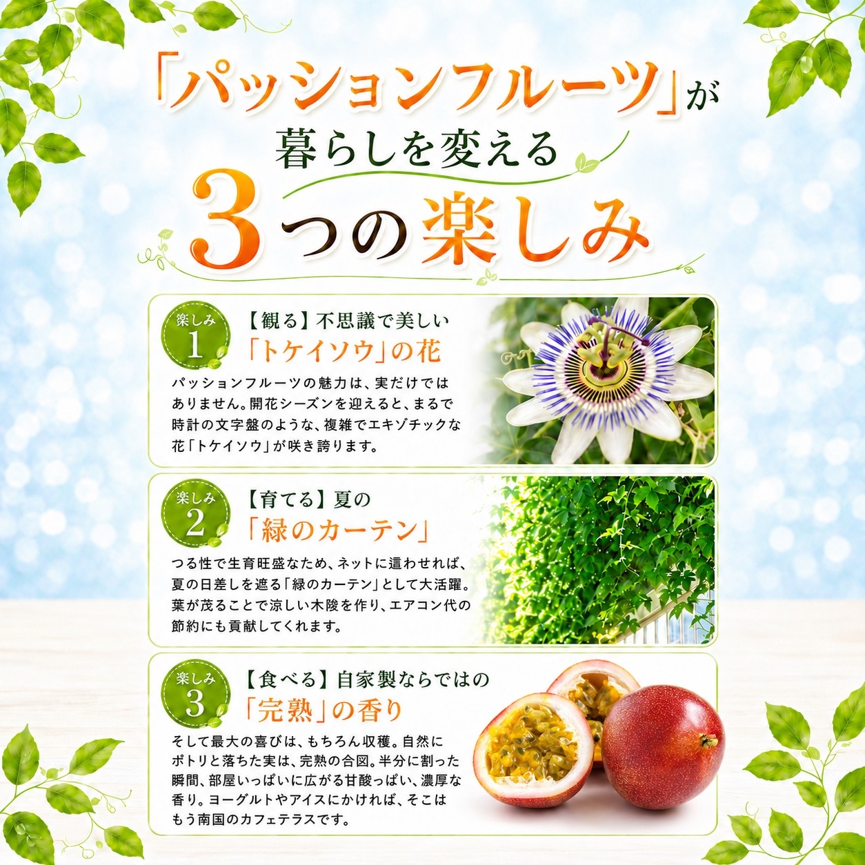 パッションフルーツ梱包