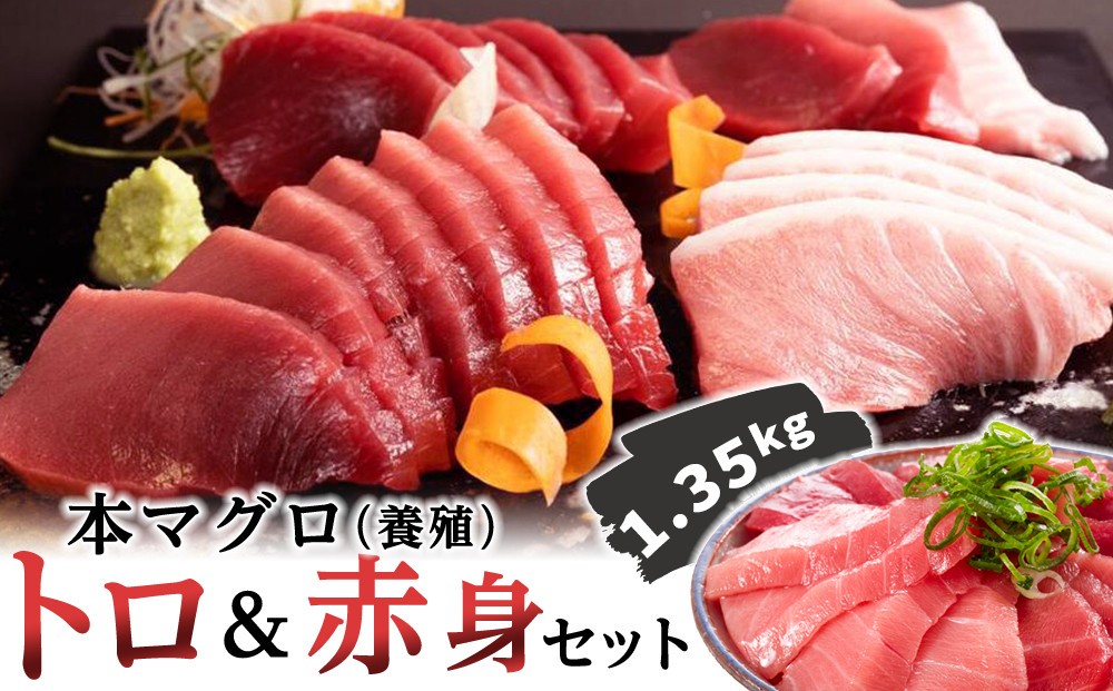 
                  【選べる通常／年末発送】本マグロ（養殖）トロ＆赤身セット　1.35kg［KS13］｜和歌山県 那智勝浦町まぐろ マグロ 鮪 maguro 本まぐろ  本マグロ 刺身 刺し身 お刺身 国産まぐろトロ 赤身 人気 魚 魚介
                