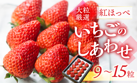 【愛知県・田原産】ブランドいちご「いちごのしあわせ」約9粒～15粒 1月中お届け ／ 苺 イチゴ フルーツ 果物 農薬節減 愛知県 特産品 産地直送 田原市 渥美半島