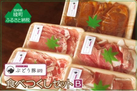 綾ぶどう豚やわらか味噌 食べつくし3種セットB（36-212）
