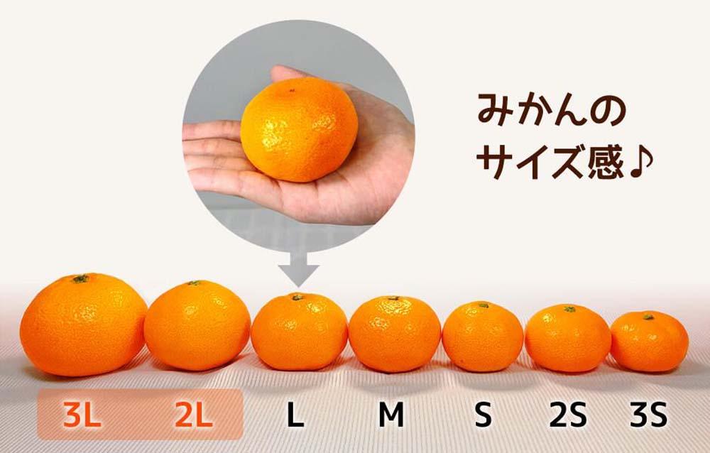 みかん 大玉 どっこいしょ 箱込 10kg ( 内容量約 9.2kg ) 2Lサイズ以上 秀品 優品 混合 有田みかん 和歌山県産 産地直送 家庭用【みかんの会】