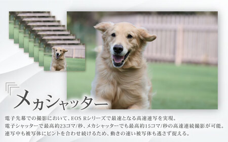 Canon EOS R10 レンズキット【長崎キヤノン】[MA16] RF-S18-45 IS STM キャノン ミラーレスカメラ