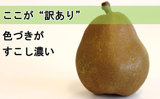 〈訳あり品 家庭用〉 ラ・フランス 約5kg (10～18玉) 《令和6年10月下旬～発送》 『旬の果実 佐藤市右衛門農園』 ラフランス 西洋梨 洋なし 訳あり 果物 フルーツ デザート 山形県 南陽