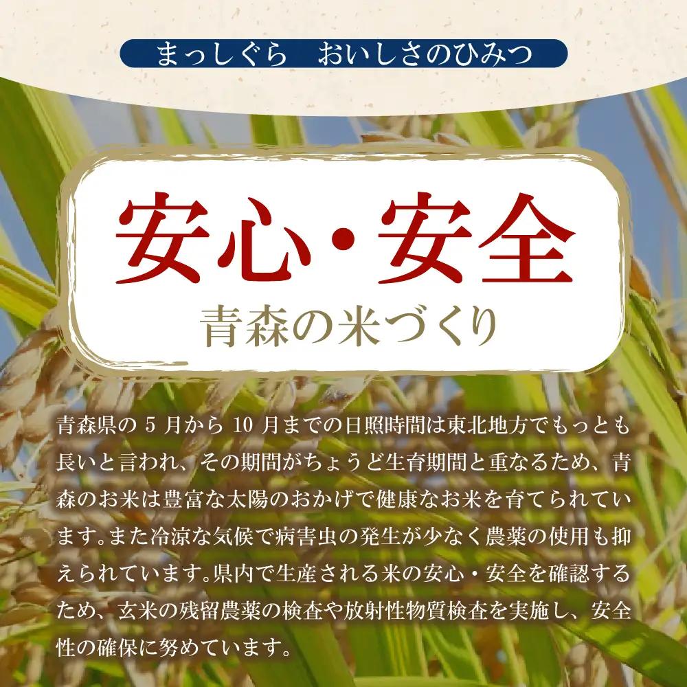 米 10㎏ まっしぐら 令和7年産 青森県産 米 （精米・5kg×2）