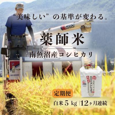 ふるさと納税 南魚沼市 【毎月定期便】【南魚沼市食味コンテスト優秀賞】南魚沼産コシヒカリ 薬師米 白米5kg全12回