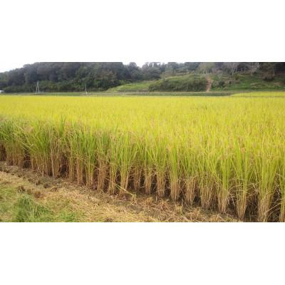 ふるさと納税 勝央町 岡山県勝央町産　きぬむすめ(精米)　3kg　 |  | 01