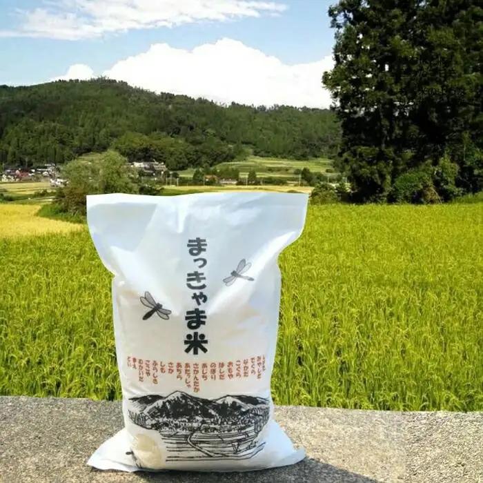 （毎月／全5回）【玄米】定期便　特別栽培米 石川県産こしひかり棚田米”まっきゃま米”