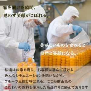 ふみこ農園　わかやまコンポートセット（ロング）