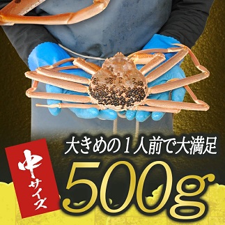 遊佐沖　春の生・本ズワイガニ 1匹 500g程度