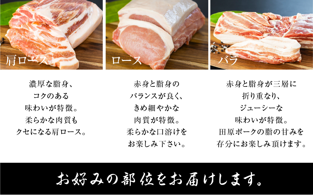 《ロース》国産 豚肉 ブロック 1kg 田原ポーク