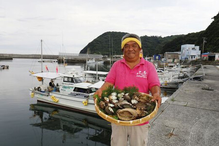 【数量限定】佐田岬海士のさざえ2kg ※北海道・東北地方・沖縄・離島への配送不可 【 さざえ サザエ 海鮮 貝 佐田岬 】 IKTJ003