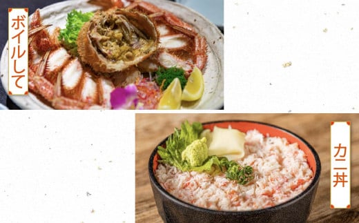 【令和7年発送】三陸産！活毛ガニ  300g相当×1杯【2025年2月~4月発送】【配送日指定不可】