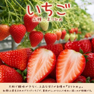 ふるさと納税 由良町 【発送月固定定期便】紀州和歌山産旬のフルーツセット(田村みかん・いちご・紀州デコ)全3回 |  | 01