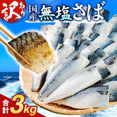 ふるさと納税 石巻市 訳あり 無塩サバフィレ 3.0kg (30枚前後)  冷凍 さば 鯖 不揃い お魚 焼き魚