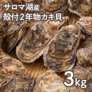 【カキナイフ付】海のミルクサロマ湖産殻付2年物カキ貝 3kg 20～30個入 ( 海鮮 貝 牡蠣 カキ お祝い 熨斗 BBQ )【031-0009-2023】
