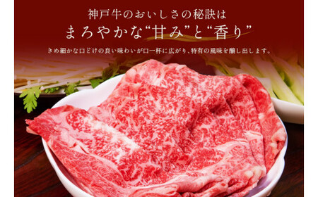 【神戸牛 すき焼き＆しゃぶしゃぶセット（肩ロース500g）冷凍】箱入り ギフト 和牛 牛肉 ステーキ しゃぶしゃぶ すき焼き 焼肉  大人気 ふるさと納税 キャンプ バーベキュー 年末年始 お盆 パー