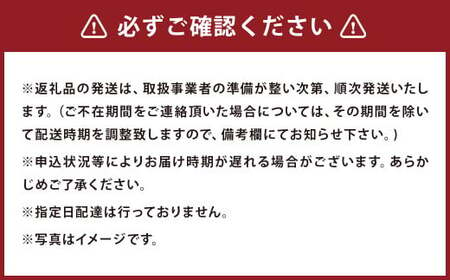 【6ヶ月定期便】ご当地グルメ! 馬刺し燻製2種と馬スジ・あか牛カレーのセット 4種 全6袋セット カレー ご当地カレー