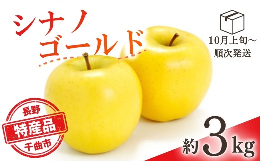 【2026年先行予約】りんご シナノゴールド(長野県オリジナル品種) 約3kg | りんご 林檎 リンゴ 信州りんご 長野県 千曲市