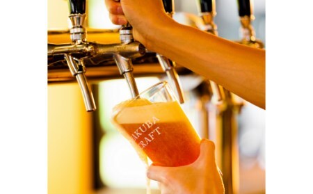 HAKUBA CRAFT クラフトビール 3本お試しセット