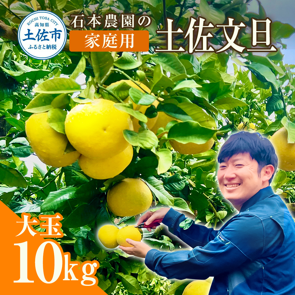 石元農園の土佐文旦 家庭用 大玉 約10キロ 10kg 3Lサイズ 4Lサイズ 文旦 ブンタン ぶんたん 柑橘 かんきつ 柑橘類 みかん フルーツ デザート おやつ 果物 高知 名物 傷 汚れ 家庭用 ご自宅用