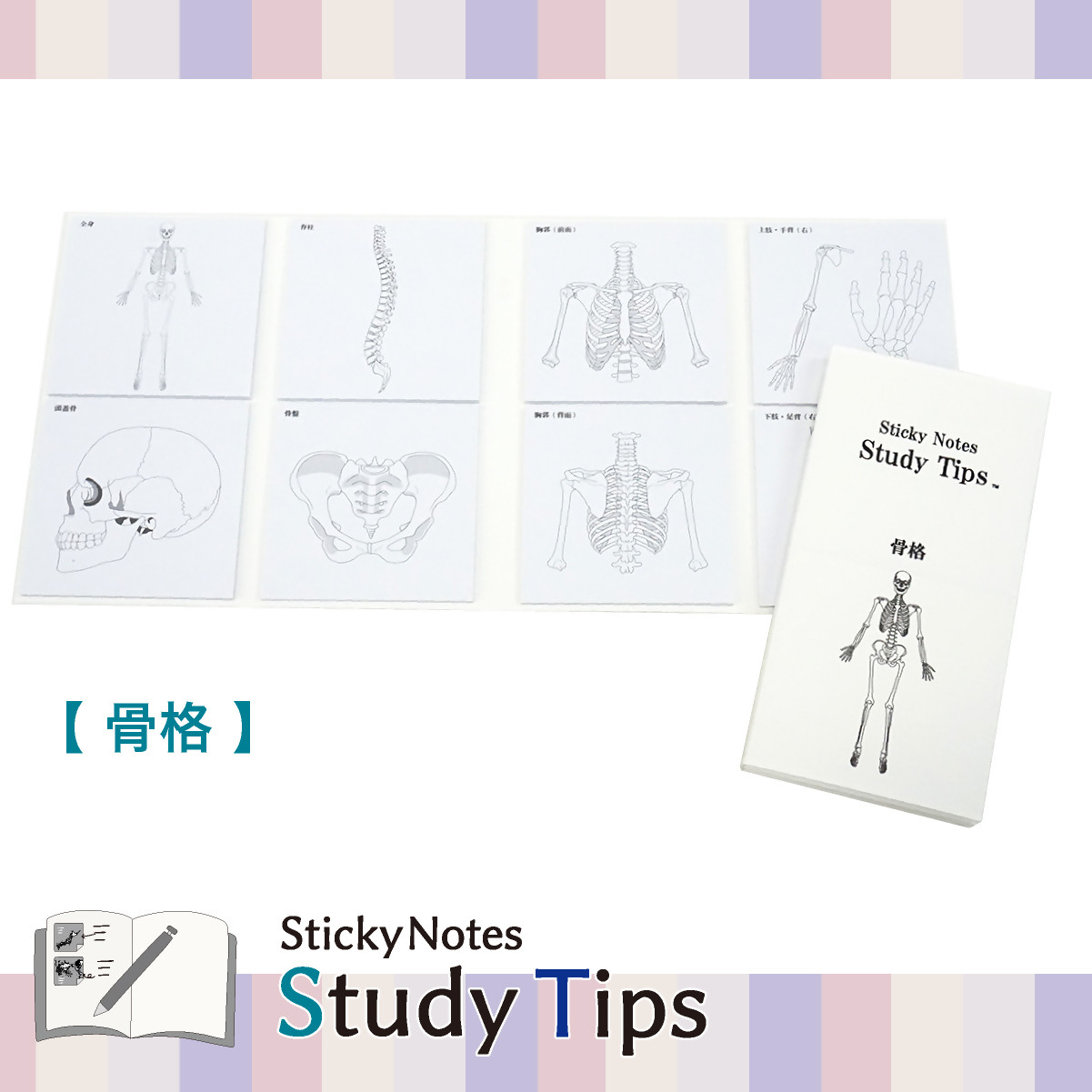 
                  5-5_人体付箋 【Sticky Notes Study Tips】 (スタディチップス) 骨格｜付箋 人体 骨格 からだ ほね 骨 体 病院 医師 医者 医学 学習 付せん 勉強 セット 文具 メモ プレゼント 便利 書き込み 役立 塾 メモ帳 ギフト 子供 子ども 孫 受験 予習 復習 宿題 8種類 ブック型
                