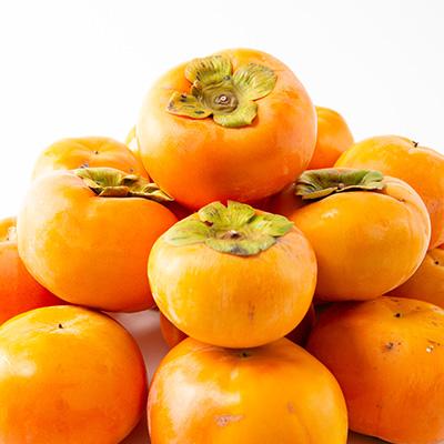 ふるさと納税 橋本市 【先行予約】訳あり富有柿 約5kg　柳フルーツ園　2026年秋冬配送 |  | 01