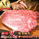 【ふるさと納税】【選べる定期便】【A4ランク以上！】博多和牛 サーロイン ステーキ 250g×1枚 肉 定期便 広川町/株式会社MEAT PLUS[AFBO001]