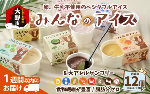 みんなのアイス 12個セット（ 卵・牛乳・小麦等アレルギー特定原材料8品目不使用のアイス ） [A-031004]