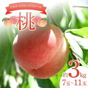 【ふるさと納税】ワタナベフルーツファームの桃 約3kg （7玉～11玉） もも モモ フルーツ 果物 F6Q-123