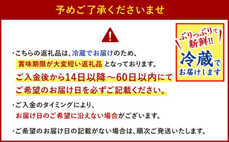 【指定日必須】本場関門とらふぐ白子(2～3人前)ふく一