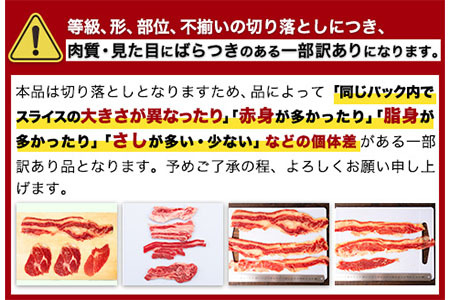 くまもと黒毛和牛とあか牛の食べ比べセット《60日以内に出荷予定(土日祝除く)》 肉 牛肉 切り落とし 牛肉切り落とし 小分け 1000g 1kg 小分け 国産牛 国産 黒毛和牛 あか牛 切落とし ブラ