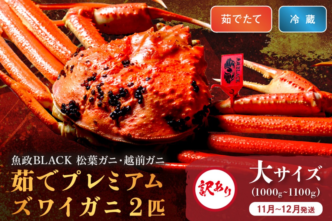 訳あり　【蟹の匠 魚政】茹で　プレミアムズワイガニ 魚政BLACK（松葉ガニ・越前ガニ） 大サイズ（1000～1100g） 2匹セット　(11月～12月発送)　UO01322