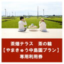 【ふるさと納税】茶畑テラス茶の輪利用券【やまきゅう中島園プラン1名分】【1502957】
