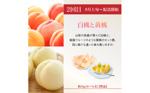 【2026度年発送】≪先行受付≫ 人気フルーツバラエティ６種便【定期便全4回】