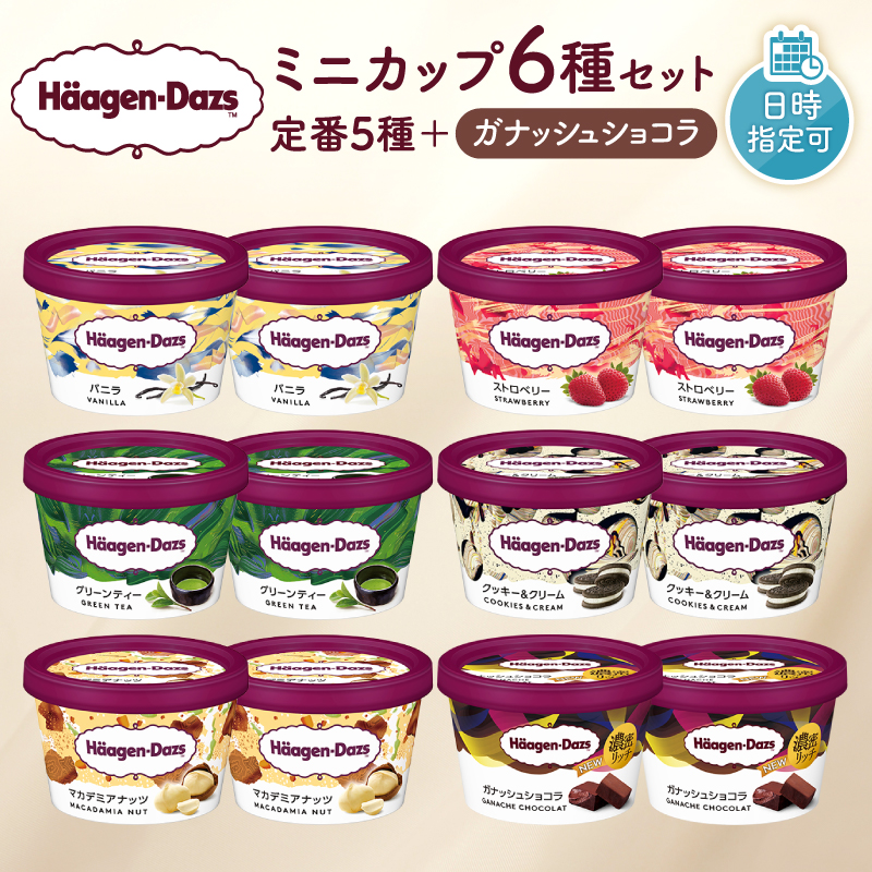 【着日指定できます】ハーゲンダッツ『ミニカップ12個セット（定番フレーバー＆新商品 ガナッシュショコラ）』アイスクリーム アイス スイーツ デザート_H0016-114
