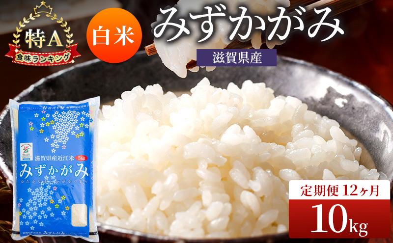 みずかがみ 米 定期便 白米 10kg 定期 12回 コメ お米 こめ 精米 ミズカガミ 滋賀県 豊郷町