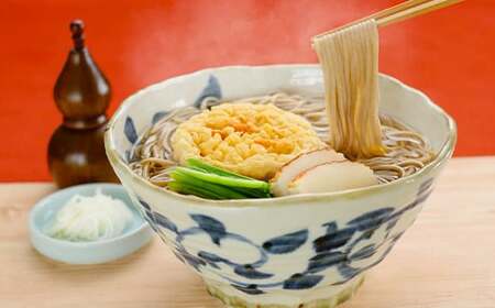 【北舘製麺】半なまわんこそば 10人前（KW-B） ／ 蕎麦 ソバ わんこ蕎麦 つゆ付き