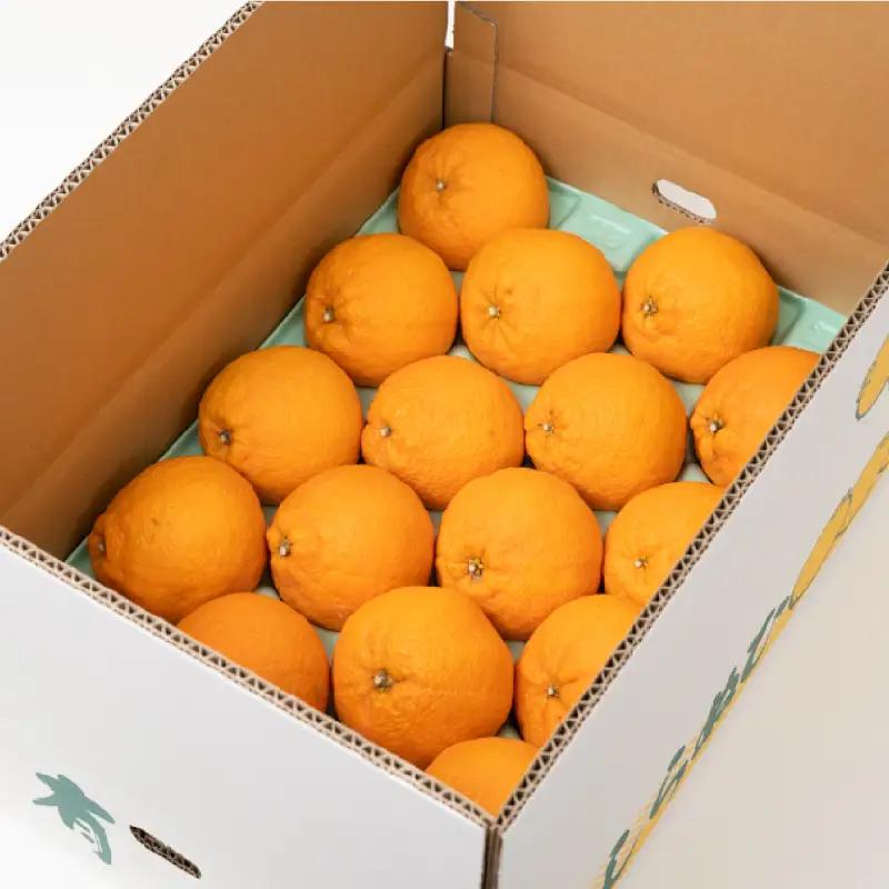 ＼ みかんの名産地 和歌山県産／ 農家直送 不知火 約5kg(18～24玉) ひとつひとつ手選別で厳選【2027年2月中旬～3月下旬ごろに順次発送予定】【hdm002A】
