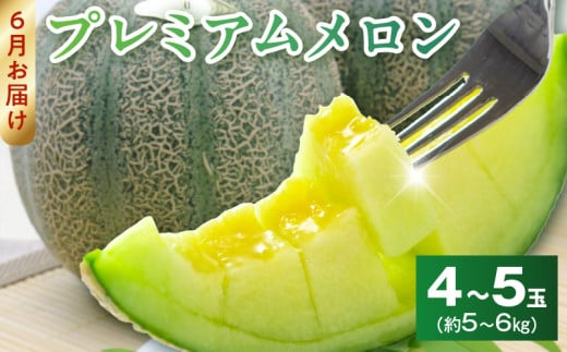 【数量限定】 プレミアムメロン  AA-0004