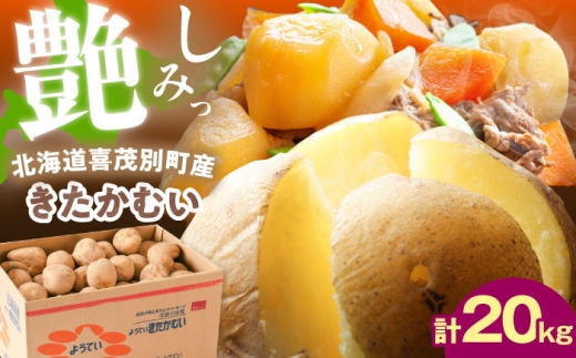 【2027年1月上旬以降順次発送】じゃがいも きたかむい 20kg 《喜茂別町》【Aコープようてい】 じゃがいも いも 芋 ジャガイモ イモ 野菜 北海道 ポテト 国産 産地直送 旬 お取り寄せ 常温 [AJAK013]