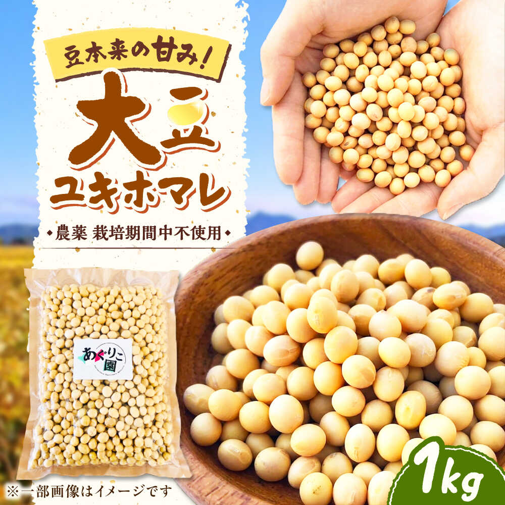 【ふるさと納税】【自然栽培】寒締め収穫 大豆 1kg (ユキホマレ) | 乾燥大豆 だいず 豆 まめ 北海道 たんぱく質 乾燥大豆 乾物 マメ ダイズ 豆乳 味噌 | あぐりこ園[BOAA006]