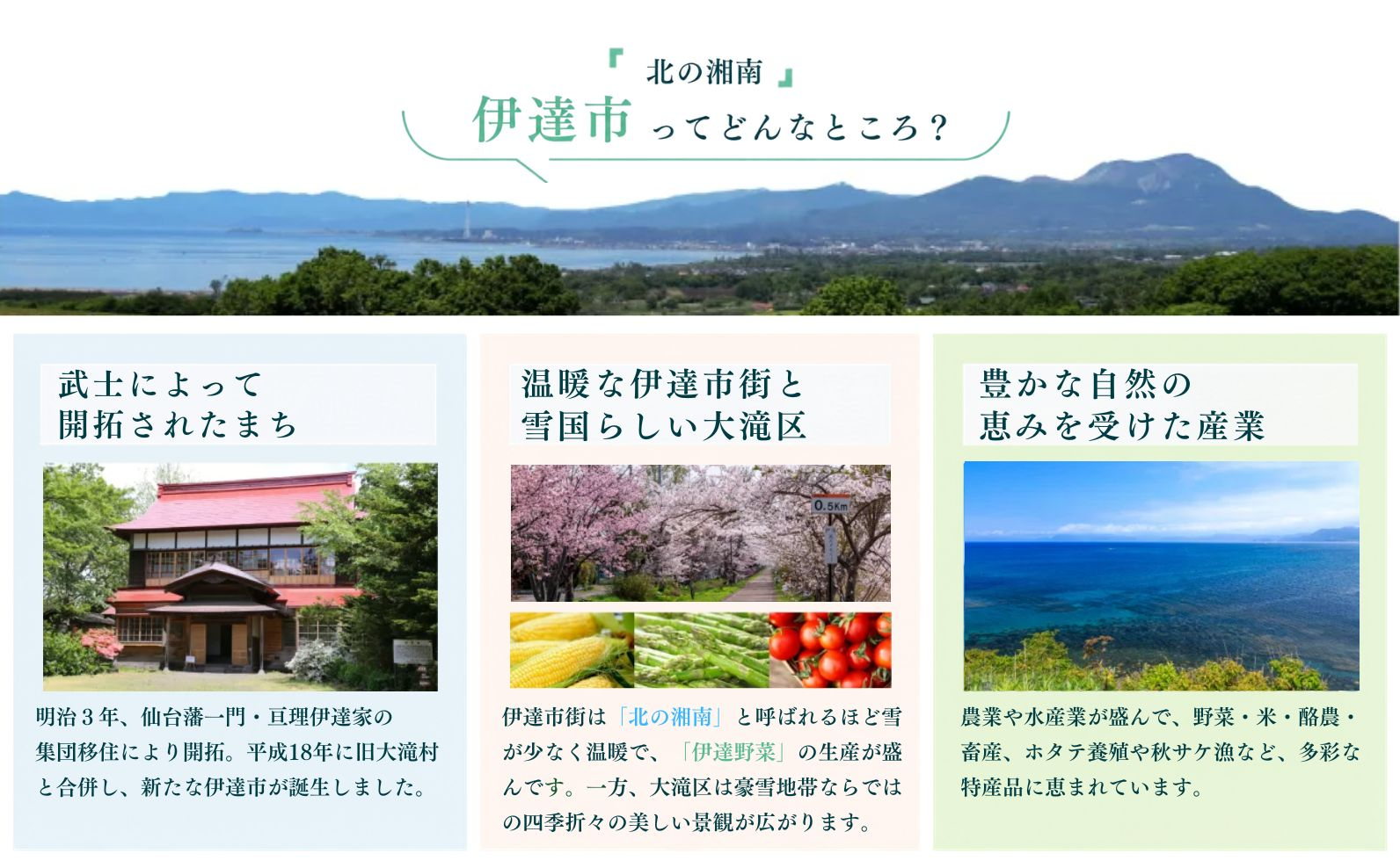 【手作り】犬のクッキー アロニア 3袋 犬のおやつ【農福連携】【dti-004】北海道 伊達市 ペットフード ドックフード