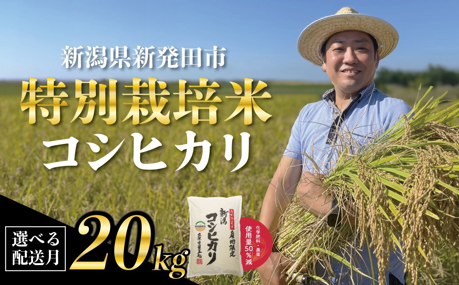 
            【先行予約】 新潟県産 特別栽培米 コシヒカリ 20kg （5kg×4袋） 選べる 配送月 令和7年産 こしひかり 特栽米 米 新米 月岡 温泉 お米 こめ ご飯 ごはん おいしい 新潟米 新潟 新潟県 米 新発田産 新潟産 朝食 昼食 夕飯 炊きたて 精米 watasho006P
          