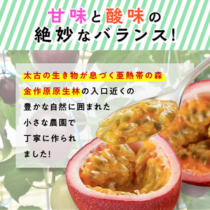 【2024年発送】農家直送 パッションフルーツ　贈答用1ｋｇ（秀品12個入り）【21年度品評会金賞】 - 奄美大島産 贈答用 果物 先行予約 2024年 6月 ビタミン 葉酸 トロピカルフルーツ 鹿児
