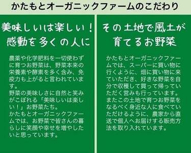 人参 4kg【期間限定】自然栽培の甘い 葉付き人参 京都府・亀岡産 かたもとオーガニックファームよりお届け 《訳あり サイズ不揃い にんじん 国産 京都産 栽培期間中農薬不使用 産地直送》 ※2025