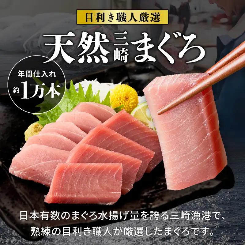 ＜選べる＞＜訳あり＞天然 三崎まぐろ 1kg たっぷり10人分！ 不揃い 赤身 M020-013 【 訳あり 】 冷凍 マグロ 【 まぐろ専門の卸問屋です 】
