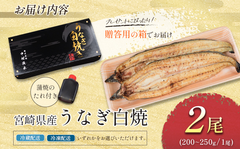 お歳暮対応「玄人の一品」うなぎ 白焼き ギフト 2尾（200～250g/1尾あたり) 宮崎県産鰻 蒲焼きタレ付（50ml×1本）配送日指定可 国産 有頭 熨斗 贈答品【N38】 白焼き 2尾（200～