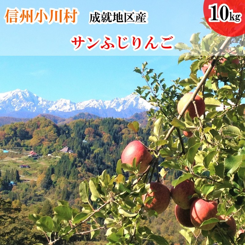 
            411＊信州成就地区限定　サンふじりんご限定10キロ
          