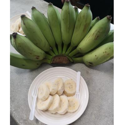ふるさと納税 糸満市 アップルバナナ4.8kg もちもち食感 りんごのような爽やかな風味 甘さとほのかな酸味のハーモーニー |  | 01