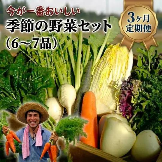 【定期便3回】季節の野菜セット（6～7品）